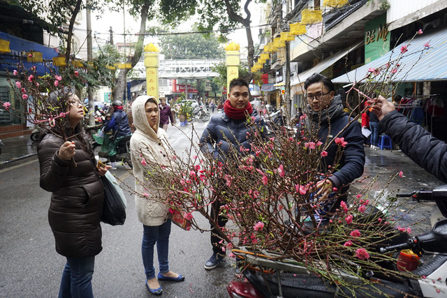Năm nay, những c&agrave;nh đ&agrave;o nhỏ được đưa về từ Nhật T&acirc;n b&aacute;n chạy, gi&aacute; giao động từ 50 - 100 ngh&igrave;n đồng/c&agrave;nh. Thời điểm sau ng&agrave;y &ocirc;ng C&ocirc;ng &ocirc;ng T&aacute;o, c&agrave;nh đ&agrave;o v&agrave; c&acirc;y đ&agrave;o to mới được ch&uacute; &yacute;.  L&agrave; chợ hoa cổ giữa khu 36 phố h&agrave;ng H&agrave; Nội, kh&ocirc;ng kh&iacute; mua b&aacute;n ở chợ H&agrave;ng Lược cũng c&oacute; n&eacute;t rất ri&ecirc;ng, đậm chất H&agrave; Th&agrave;nh: đi chợ cũng l&agrave; đi hưởng kh&ocirc;ng kh&iacute; Tết cổ truyền.