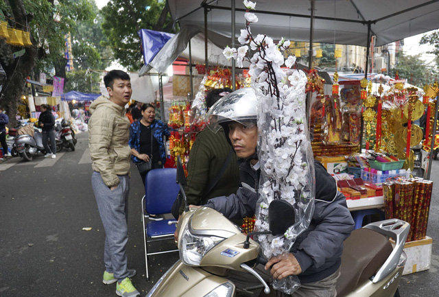 Ngo&agrave;i đ&agrave;o Nhật T&acirc;n, quất Tứ Li&ecirc;n, chợ c&ograve;n b&aacute;n đủ loại c&acirc;y hoa cảnh như c&uacute;c, lay ơn, thược dược, violet, thủy ti&ecirc;n, hải đường&hellip; c&ugrave;ng c&aacute;c mặt h&agrave;ng trang tr&iacute; Tết.