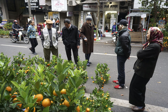 Những người cao tuổi thường đi chơi chợ hoa v&agrave;o buổi s&aacute;ng, ngắm lựa v&agrave; chọn lọc rất kỹ trước khi quyết định mua hoa, quất.