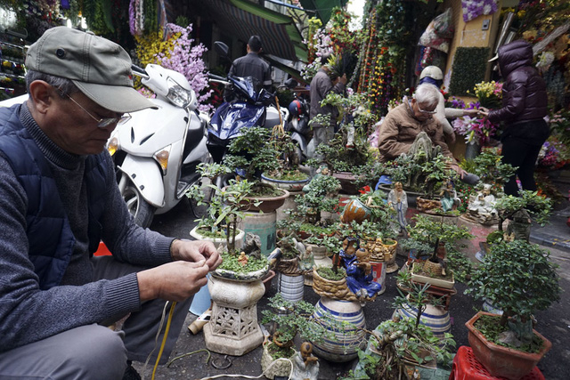 Một người gi&agrave; b&aacute;n c&aacute;c loại c&acirc;y cảnh nhỏ xinh.