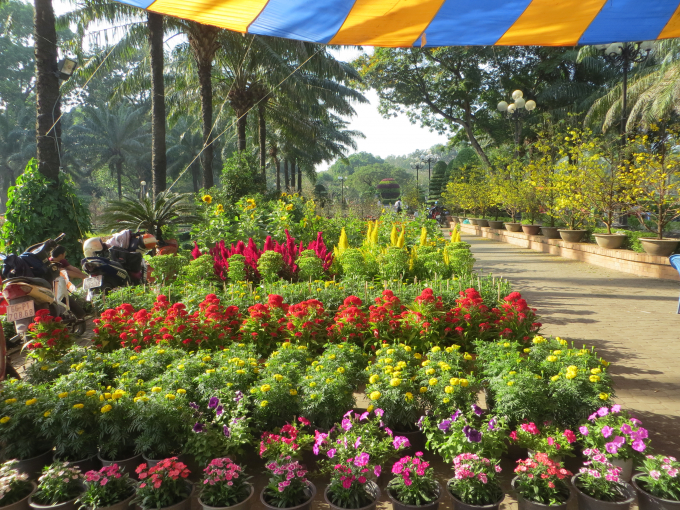 Đa dạng c&aacute;c loại hoa mai, hoa c&uacute;c, hướng dương,&hellip; tr&agrave;n đầy sắc xu&acirc;n.