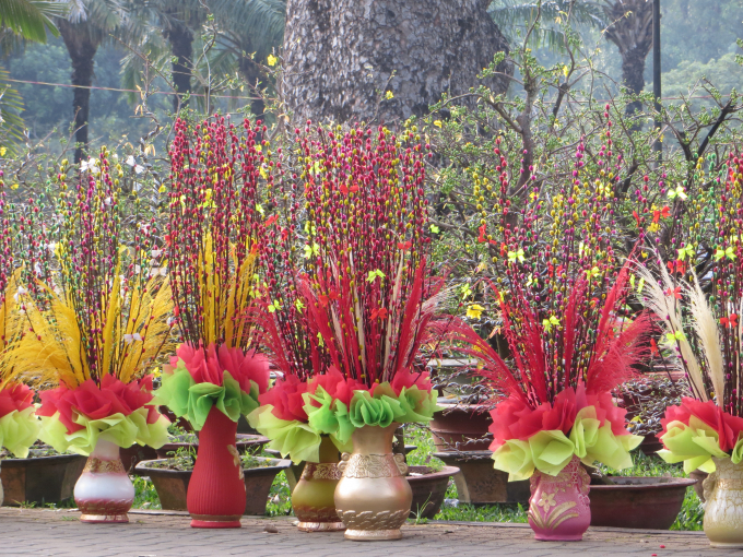 Nụ tầm xu&acirc;n m&agrave;u sắc bắt mắt.