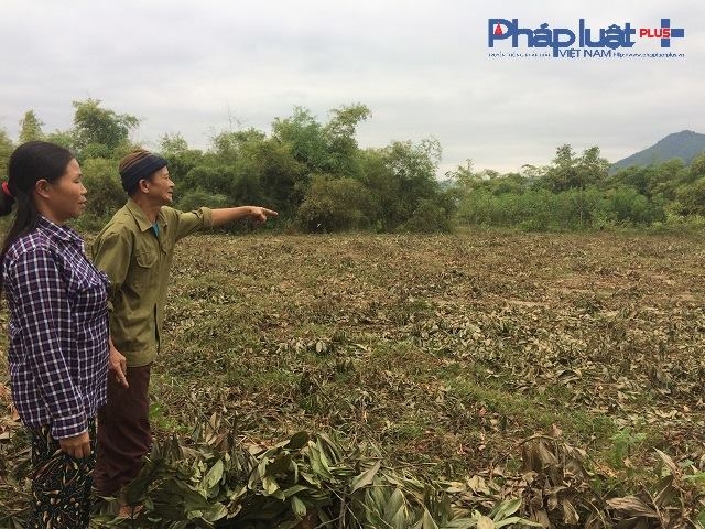 &Ocirc;ng Định C&ocirc;ng Lượng cho biết, địa điểm m&agrave; x&atilde; Xu&acirc;n Vi&ecirc;n chọn l&agrave;m nơi x&acirc;y dựng b&atilde;i xử l&yacute;, ch&ocirc;n lấp r&aacute;c thải chỉ c&aacute;ch trường mầm non 150m.&nbsp;