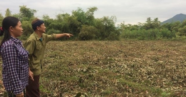 Bãi rác thải "chuẩn bị" được xây dựng cạnh trường mầm non có phù hợp hay không?