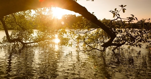 Dự báo thời tiết các khu vực trên cả nước dịp Tết Nguyên đán Đinh Dậu