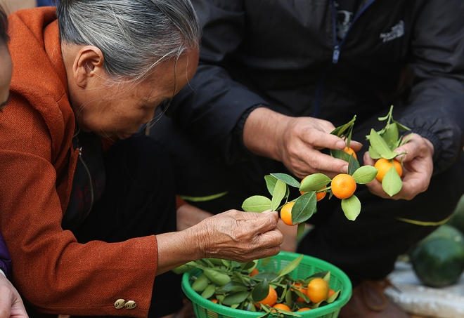 Chợ chủ yếu b&aacute;n n&ocirc;ng sản, vật nu&ocirc;i, đồ d&ugrave;ng gia đ&igrave;nh như chiếu c&oacute;i, chổi tre, n&oacute;n l&aacute;, &aacute;o quần, tăm đũa tre, b&aacute;nh r&aacute;n, kẹo bột, bỏng gạo... Trong phi&ecirc;n cuối c&ugrave;ng của năm, chợ Nủa b&aacute;n nhiều h&agrave;ng h&oacute;a phục vụ dịp Tết.