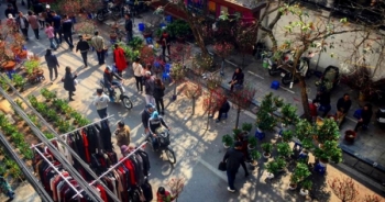 Ngắm chợ hoa lâu đời nhất của Hà Nội những ngày cuối năm