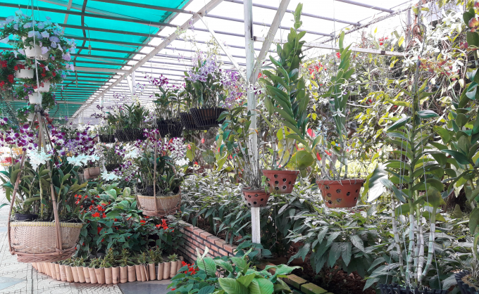 đủ c&aacute;c lo&agrave;i hoa c&ugrave;ng nhau đua nở