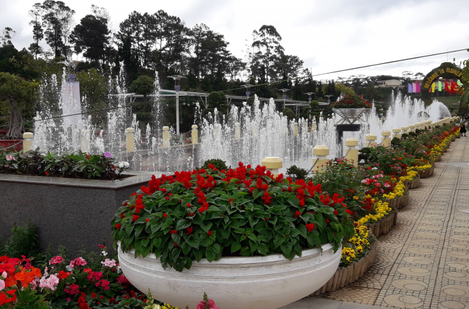 Ng&agrave;n hoa v&agrave; đ&agrave;i phun nước trong vườn hoa Đ&agrave; Lạt
