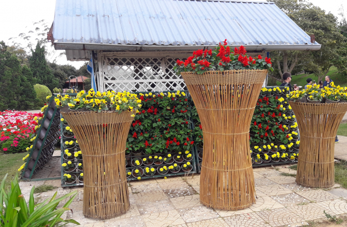 Ng&ocirc;i nh&agrave; nhỏ xung quanh to&agrave;n hoa