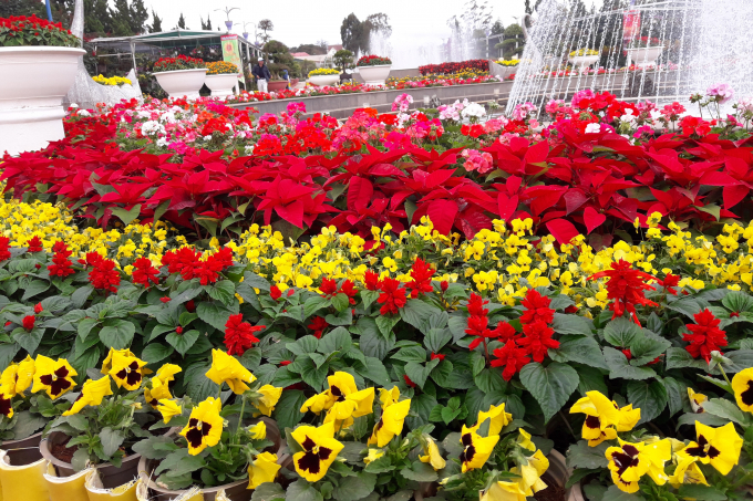 Sắc xu&acirc;n tr&ecirc;n th&agrave;nh phố ng&agrave;n hoa