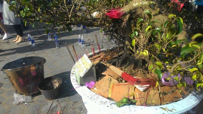 Nhiều người d&acirc;n thắp cả hương tại nhưng gốc c&acirc;y cảnh trong khu&ocirc;n vi&ecirc;n&nbsp;Tượng Phật Quan &acirc;m Bồ T&aacute;t d&ugrave; ở đ&acirc;y c&oacute; đặt bảng