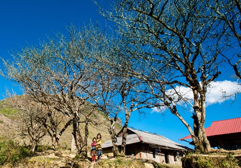 Trẻ em tại S&igrave;n Hồ. Ảnh L&ecirc; Hồng H&agrave;.