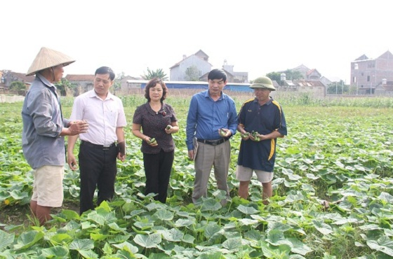 10 th&agrave;nh tựu nổi bật của huyện Hiệp H&ograve;a - Bắc Giang trong năm 2016