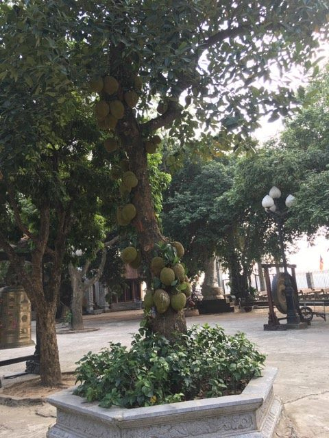 Ch&ugrave;a Bồ Đề &ldquo;gi&ocirc;ng b&atilde;o&rdquo; đi qua, t&igrave;nh người vẫn ấm