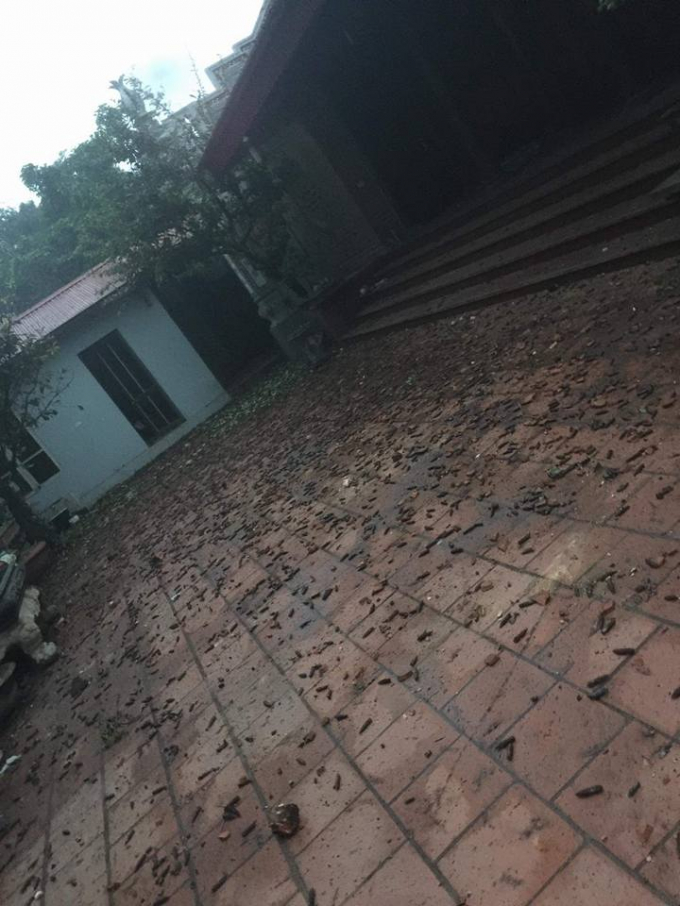 Ảnh Facebook L&ecirc; Minh Đức.