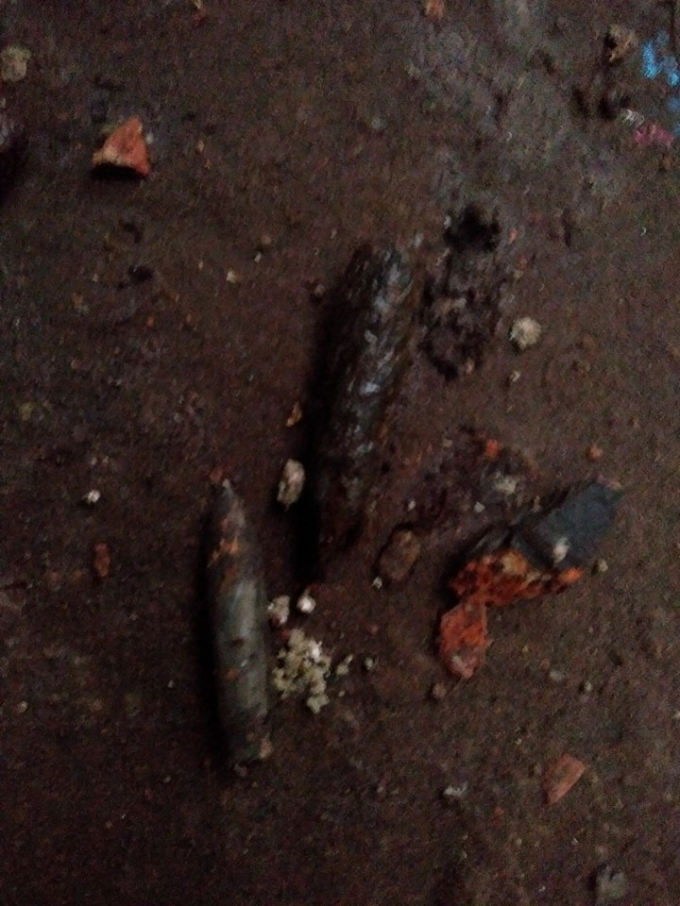 Ảnh Nguyễn Gia Hạnh.