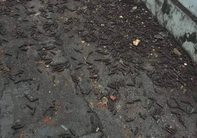 Rất nhiều đầu đạn vung v&atilde;i khắp nơi sau vụ nổ kinh ho&agrave;ng.