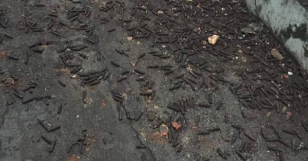 Đi nhặt đạn vụ nổ ở Bắc Ninh, một thanh niên bị đạn nổ rách đùi