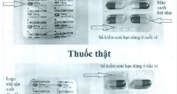 Truy nguồn gốc thuốc kháng sinh Lincomycin giả