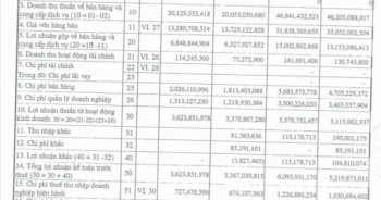 Chậm nộp hồ sơ đăng ký công ty đại chúng, Bia Hà Nội - Nam Định bị xử phạt