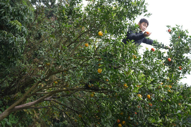 Từ khi thường xuy&ecirc;n live-stream, Lưu học hỏi được rất nhiều điều. Trong đ&oacute; c&oacute; việc đọc chữ v&igrave; Lưu đ&atilde; bỏ học từ lớp 5.