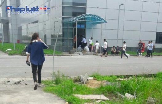 Ng&agrave;y 29/12/2017, Trong c&ocirc;ng ty Lens Việt Nam vẫn đang c&oacute; hoạt động.