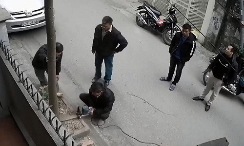 Nh&oacute;m người cưa đổ c&acirc;y xanh trước cửa nh&agrave; d&acirc;n.