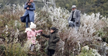 Cận cảnh băng giá kỳ thú ở Sa Pa