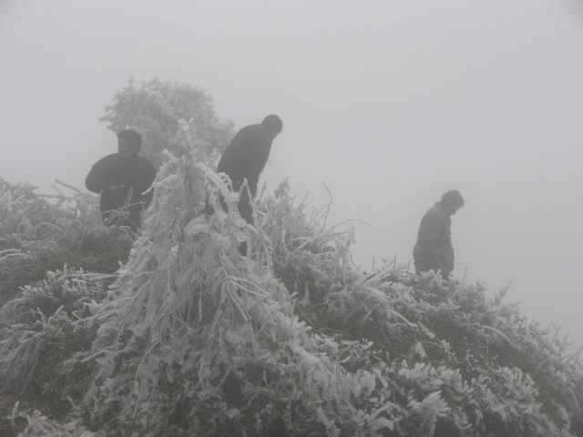 Băng tuyết kỳ th&uacute; tr&ecirc;n đ&egrave;o &Ocirc; Qu&yacute; Hồ