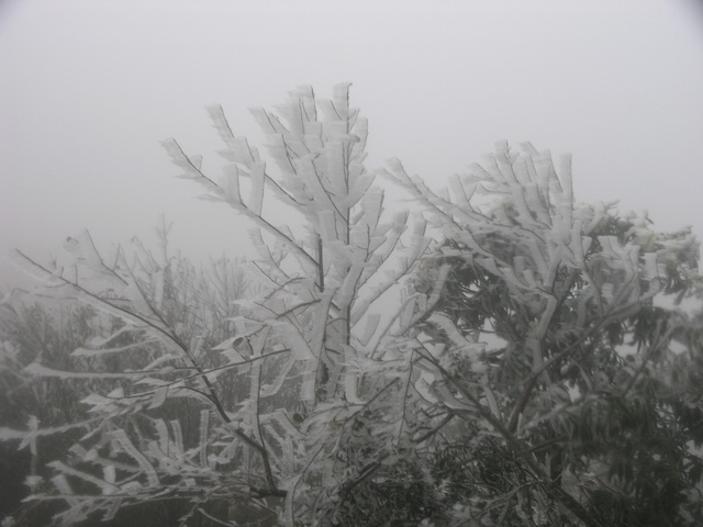 Băng tuyết kỳ th&uacute; tr&ecirc;n đ&egrave;o &Ocirc; Qu&yacute; Hồ