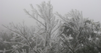 Băng tuyết kỳ thú trên đèo Ô Quý Hồ