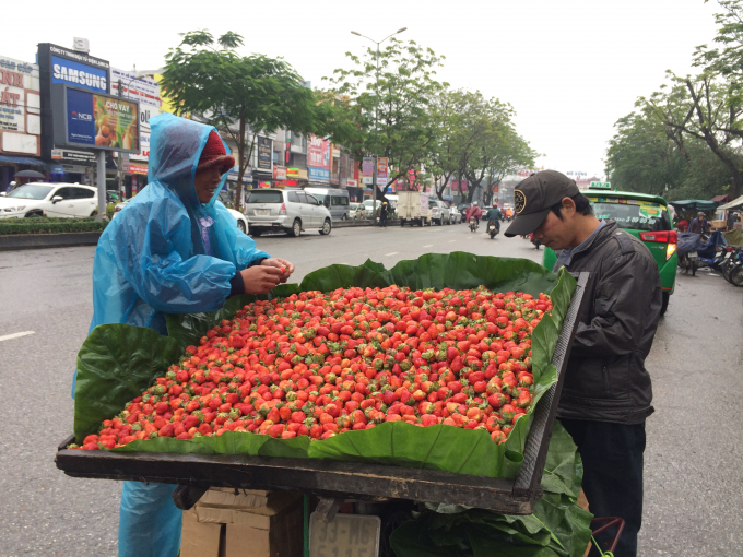 Người b&aacute;n d&acirc;u t&acirc;y mặc &aacute;o mưa để chống chọi với c&aacute;i lạnh giữa đường (Ảnh: Th&acirc;n Hiền)