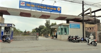 Niêm yết chứng khoán quá thời hạn, Tổng Công ty CP Dệt may Nam Định bị phạt nặng