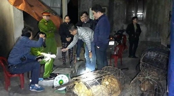 Hà Tĩnh: Vây bắt thành công băng nhóm trộm chó