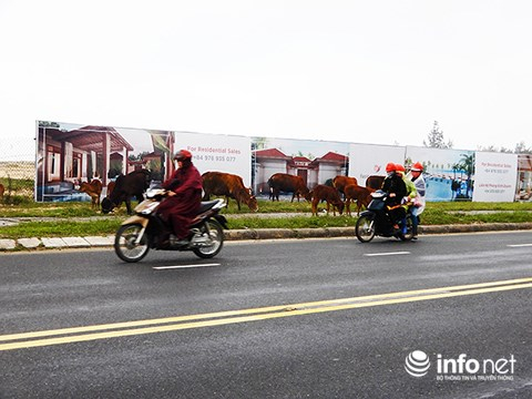 c&ograve;n người d&acirc;n lại bị ch&iacute;nh c&aacute;c dự &aacute;n n&agrave;y bịt lối xuống biển! (Ảnh: HC)