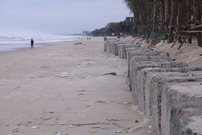 H&igrave;nh ảnh bờ k&egrave; của dự &aacute;n The Song Đ&agrave; Nẵng lấn chiếm b&atilde;i biển c&ocirc;ng cộng để đổ đất trồng c&acirc;y.&nbsp;