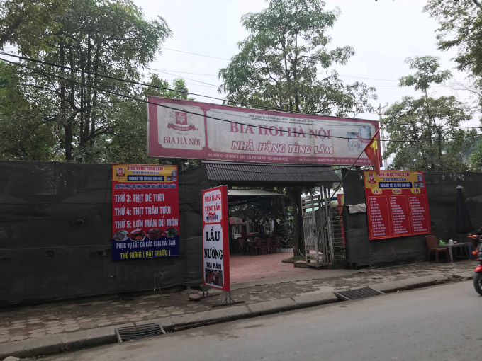 Qu&aacute;n bia T&ugrave;ng L&acirc;m mọc ho&agrave;nh tr&aacute;ng tr&ecirc;n đất n&ocirc;ng nghiệp.