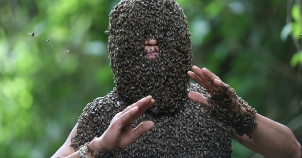 "Dị nhân ong" ở Điện Biên