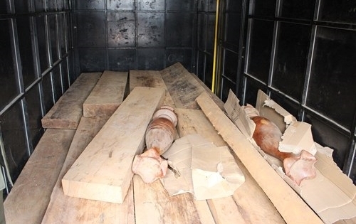 Quảng Bình: Liên tiếp bắt giữ xe ô tô chở lượng lớn gỗ lậu quý hiếm