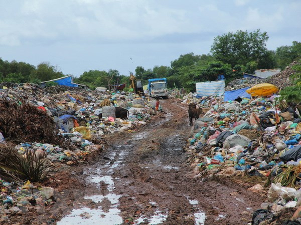 H&igrave;nh minh họa. (Ảnh: b&aacute;o TTXVN)