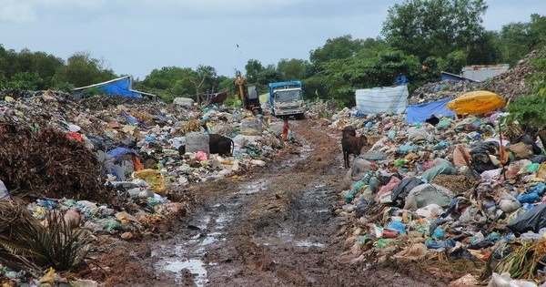 Hà Nội xử phạt 21 cơ sở sản xuất kinh doanh gây ô nhiễm năm 2017