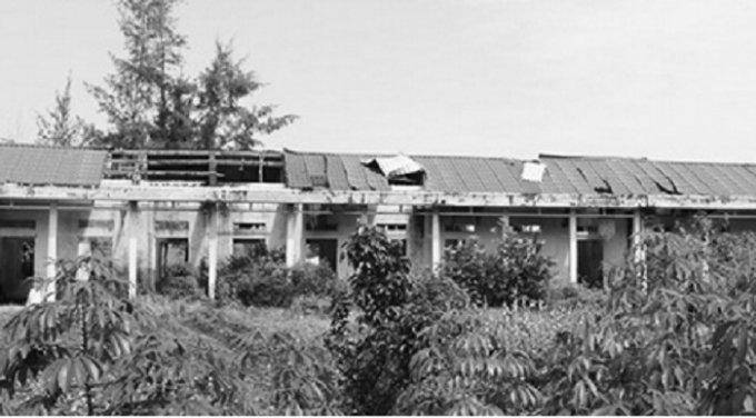 KTĐC hơn 11 tỷ hoang t&agrave;n, cỏ mọc um t&ugrave;m.