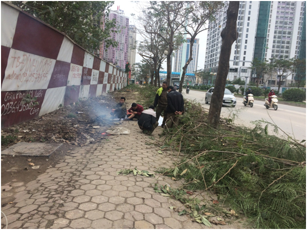 Trời r&eacute;t, những người c&ocirc;ng nh&acirc;n cắt tỉa c&acirc;y xanh trong l&uacute;c nghỉ ngơi b&ecirc;n đường T&ocirc; Hữu phải kiếm c&acirc;y củi kh&ocirc; để đốt lửa sưởi ấm.