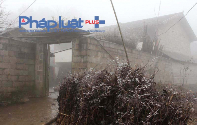 Trời trở lạnh khiến người d&acirc;n kh&ocirc;ng thể lao động, sản xuất.