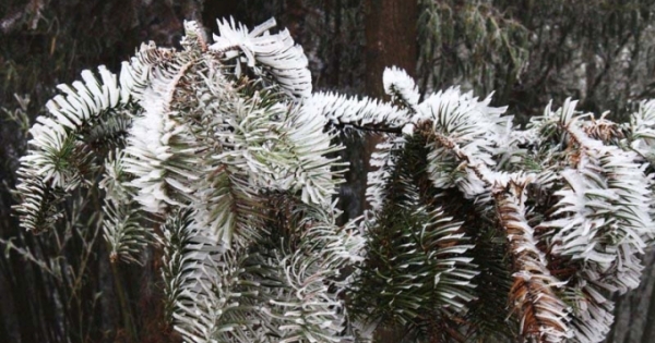 Băng giá phủ kín huyện Mèo Vạc