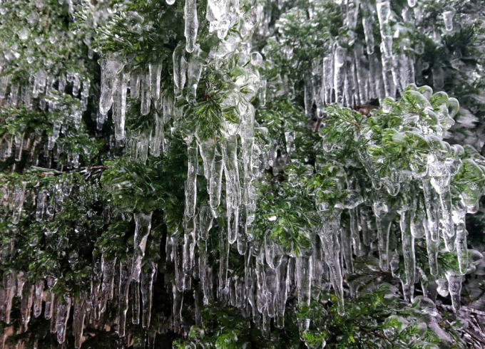 Bắng gi&aacute; phủ k&iacute;n khiến đỉnh Mẫu Sơn c&oacute; vẻ đẹp độc đ&aacute;o, lạ thường, thu h&uacute;t kh&aacute;ch du lịch.&nbsp;Ảnh: L&ecirc; Văn Thịnh