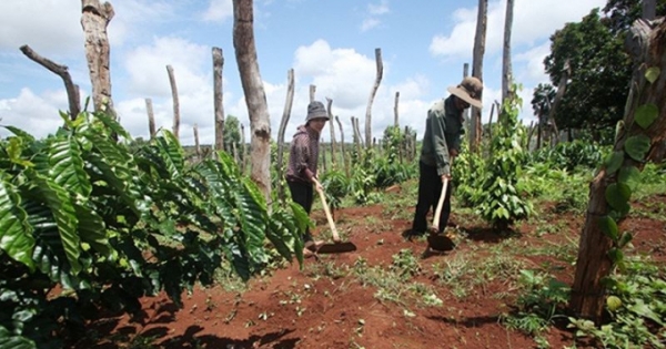 Ngân hàng Chính sách Xã hội: Tới thật gần người dân, không “bỏ quên” hộ nào