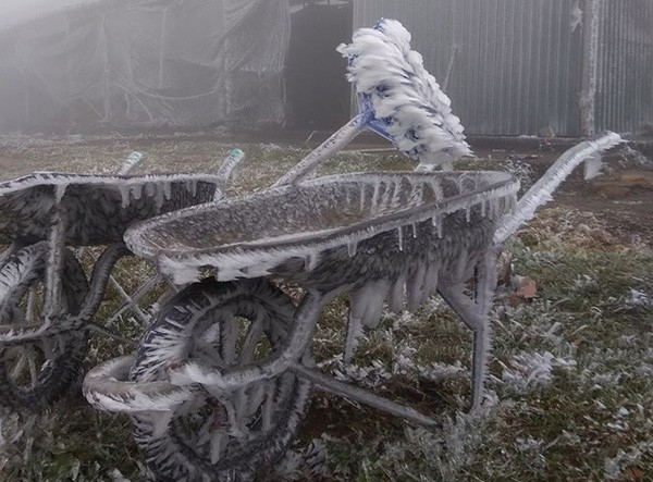 Xe đẩy d&ugrave;ng trong x&acirc;y dựng cũng bị