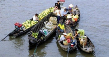 Ghe hàng ở miền Tây: Order theo yêu cầu, freeship tận nhà và trả góp lãi suất 0%